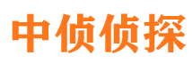 镇沅市私家侦探